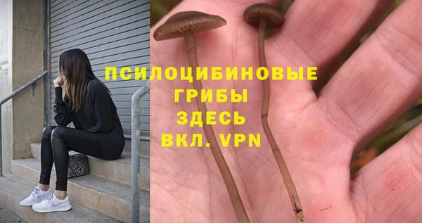 PSILOCYBIN Верея